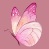 Papillon Yoga Sophrologie par le jeu Enfants Adolescents Ados