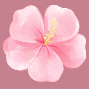 Yoga sophrologie enfants adolescents transformation réussite motivation harmonie confiance paix amour
