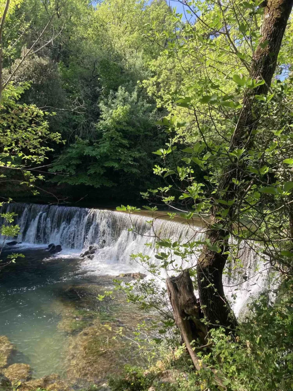 Cascade et rivière en pleine nature verdoyante, lieu ressourçant pour un soin énergétique à Lorgues.
