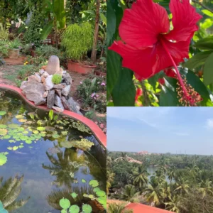 Bassin zen, fleur d'hibiscus et vue panoramique tropicale lors d'un pèlerinage pour femmes en Inde.
